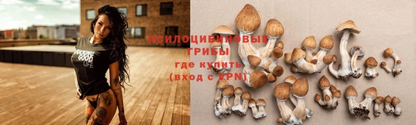 спиды Горно-Алтайск