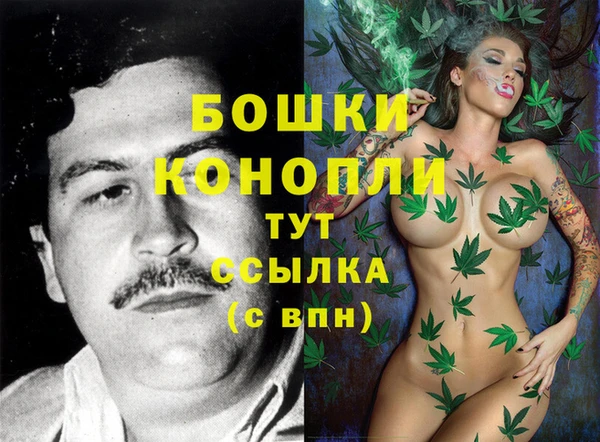 спиды Горно-Алтайск