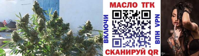 Купить  Мытищи  Дистиллят ТГК концентрат 