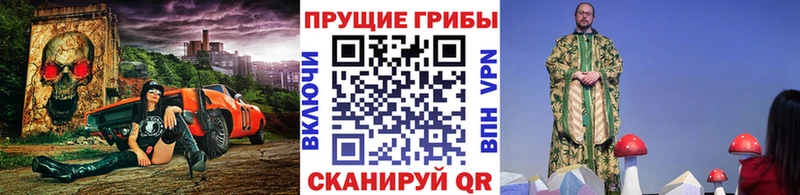 Псилоцибиновые грибы GOLDEN TEACHER  Купить где  Мытищи 